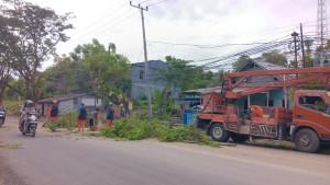 DLHK-Mamuju-sedang-memangkas-pohon-di-Jl-H-Abd-Malik-Pettana-Endeng-Kecamatan-Simboro.jpg