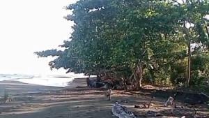 Erosi-ini-kini-mengancam-rumah-dan-kebun-warga-sekitar.jpg