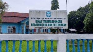 Harga-Gabah-di-Mamuju-Resmi.jpg