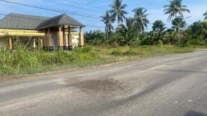 JALAN-RUSAK-Kondisi-jalan-poros-Kelurahan-Martajaya-Kecamatan-Pasangkayu.jpg