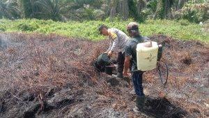 Kebakaran-lahan-perkebunan-milik-warga-di-Pasangkayu-Rabu-4102023.jpg