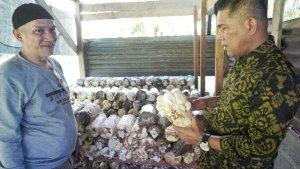 Kemenkumham-Sulbar-melakukan-pendampingan-langsung-terhadap-usaha-pembudidayaan-jamur-tiram.jpg