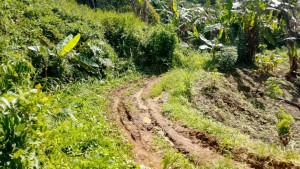 Kondisi-jalan-menuju-Dusun-Pakarroang-Desa-Botteng-Utara-Kecamatan-Simboro-Mamuju.jpg