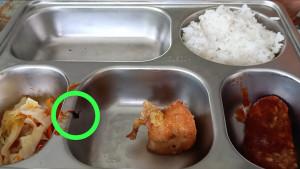 Lalat-ditemukan-di-menu-MBG-di-SMAN-1-Mamuju-Rabu-2492025.jpg
