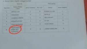 Lenny-Marlina-daftar-calon-sementara-DCS-anggota-DPRD-Mamuju-Tengah-dari-PDIP.jpg