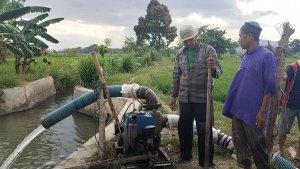 Para-petani-di-Desa-Indomakkombong-Kecamatan-Matakali-Polman-Pakai-mesin-pompa-air.jpg