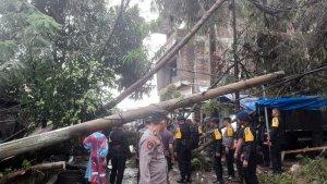 Pohon-tumbang-di-Pattana-Bone-Kelurahan-Binanga-Mamuju-Sulawesi-Barat-Sulbar.jpg