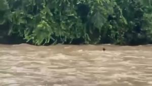 Tangkapan-Layar-video-viral-di-media-sosial-ibu-muda-bernama-Marsita-20-nekat-menerobos-arus-deras.jpg