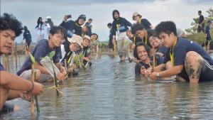UGM-tanam-mangrove.jpg