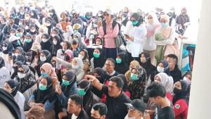 demo-honorer-mamuju-kecewa.jpg