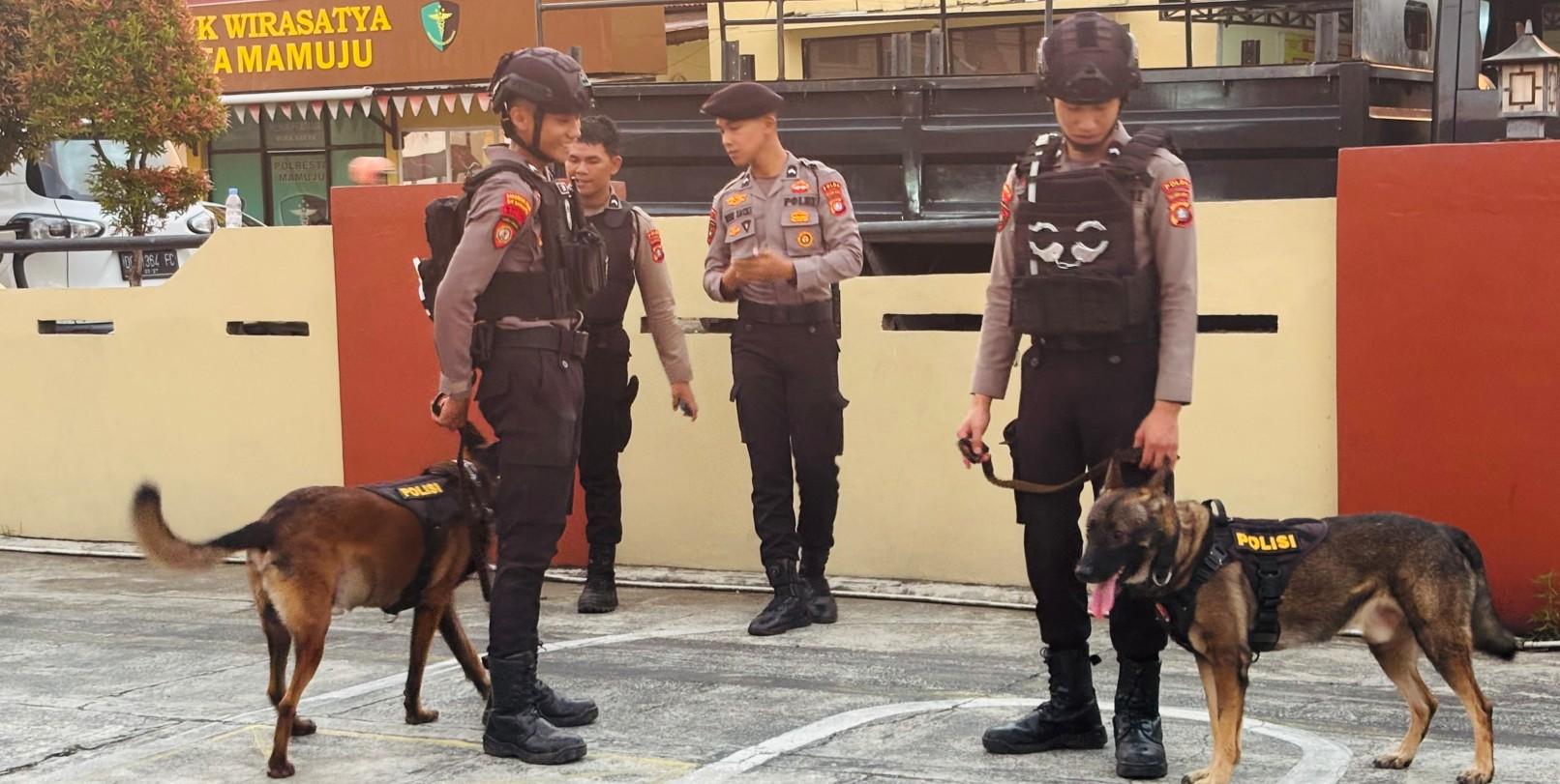 2-anjing-pelacak-peres-dan-bono.jpg
