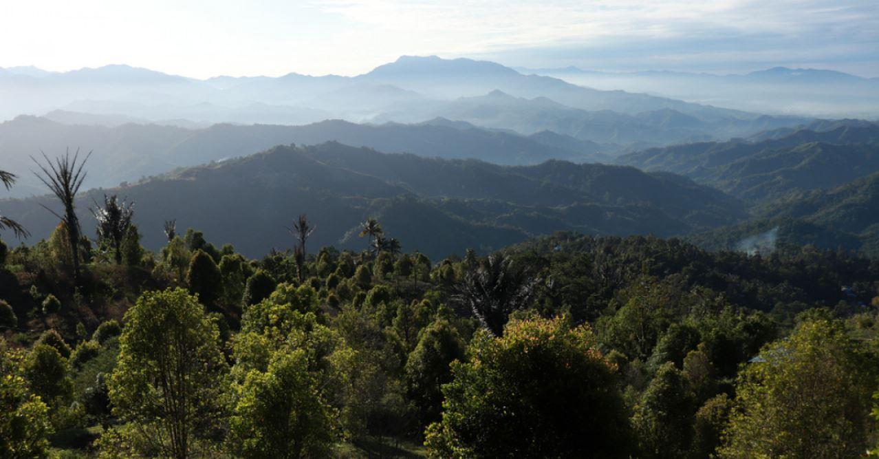 Bentangan-Taman-Nasional-Gandang-Dewata-di-Sulawesi-Barat-Sulbar.jpg