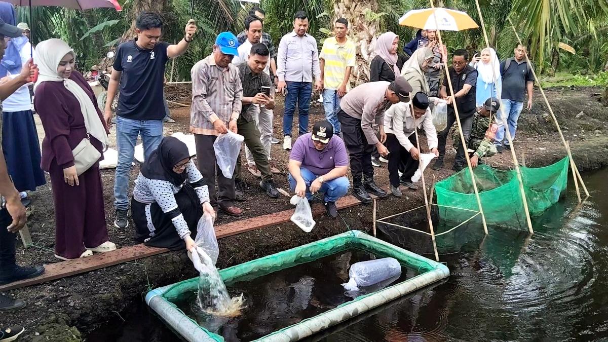 Bupati-Mateng-Arsal-Aras-saat-melepaskan-bibit-ikan-nila-ke-kolam-warga-di-Desa-Salupangkang-IV.jpg