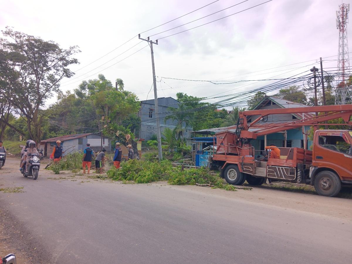 DLHK-Mamuju-sedang-memangkas-pohon-di-Jl-H-Abd-Malik-Pettana-Endeng-Kecamatan-Simboro.jpg