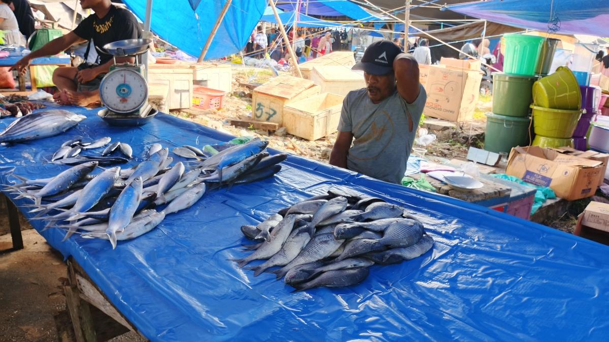Harga Ikan di Pasar Pasangkayu Turun, Nelayan Mulai Kembali Melaut