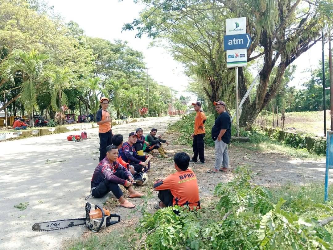 Dahan-dan-ranting-pohon-di-kompleks-KTM-Desa-Tobadak-Mamuju-Tengah-ditebang.jpg