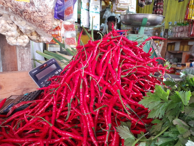 Libur Akhir Tahun, Harga Cabai di Mamuju Tengah Meroket, Permintaan Meningkat