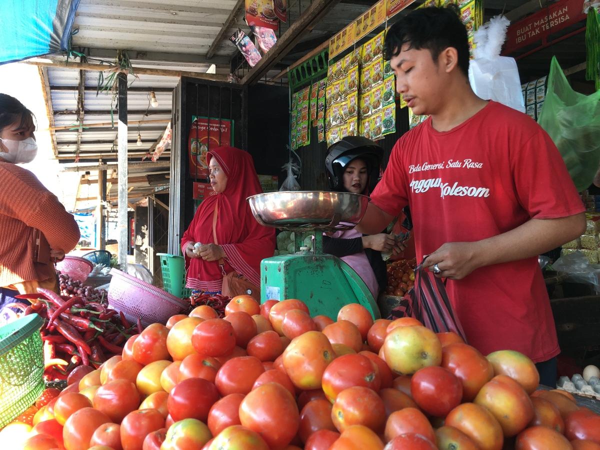 Update Harga Bahan Pokok di Mamuju Awal Juli 2024, Tomat Anjlok dari Rp 18 Ribu ke 8 Ribu Per Kilo