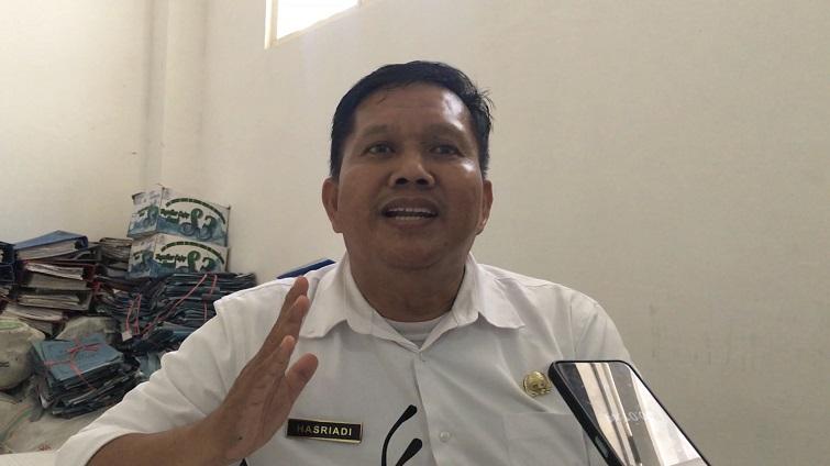 Penjelasan BKD Mamuju Soal Tidak Ada Kuota PPPK di DPRD Mamuju
