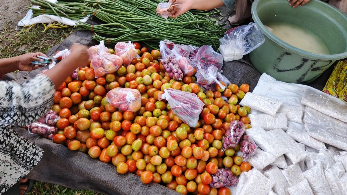 Jualan-tomat-di-lapak-Susiati-pasar-Kelurahan-Martajaya-Kecamatan-Pasangkayu-Sabtu-1272025.jpg