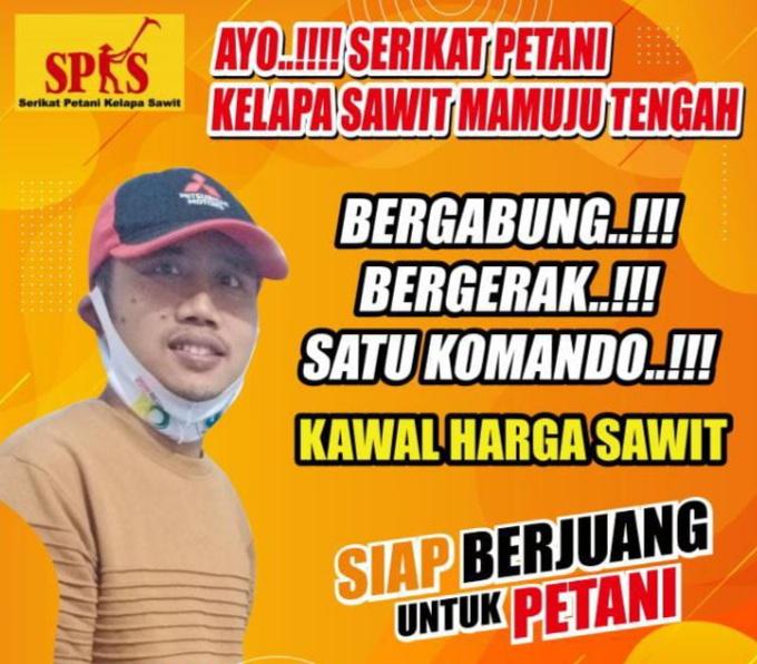 Larangan Ekspor CPO Dicabut, Ketua SPKS Mamuju Tengah: Akan Normalkan Tata Niaga Sawit