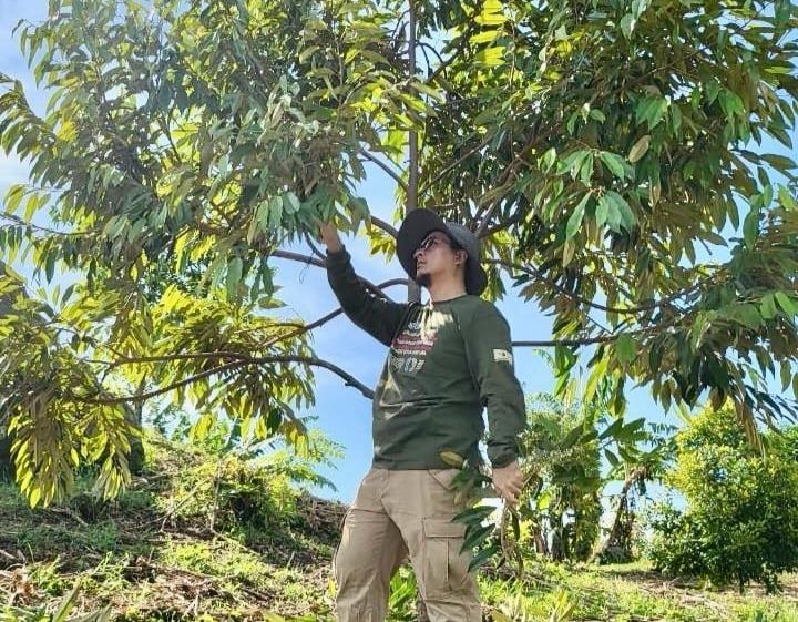 Libur Nataru, Bupati Arsal Pilih Habiskan Waktu Berkebun Durian dan Pantau Wilayah Mateng