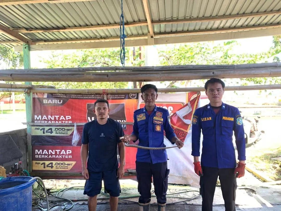 Damkar Pasangkayu Evakuasi Anak Ular Piton