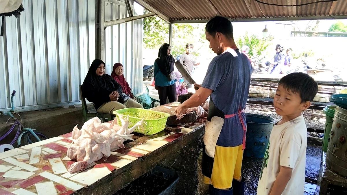 Pedagang-ayam-potong-saat-melayani-pembeli-di-Kompleks-Pasar-Baru-Topoyo.jpg