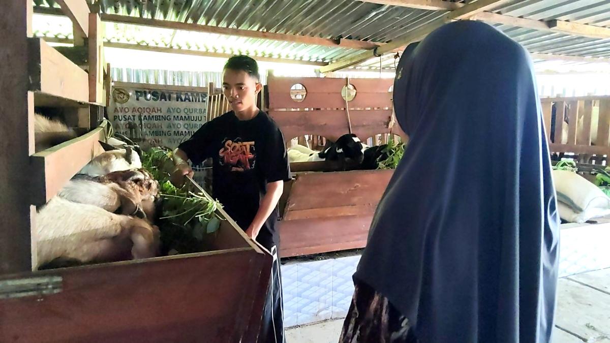 Pedagang-kambing-saat-melayani-pembeli-di-kandangnya-di-Jalan-Trans-Sulawesi-Desa-Tobadak.jpg