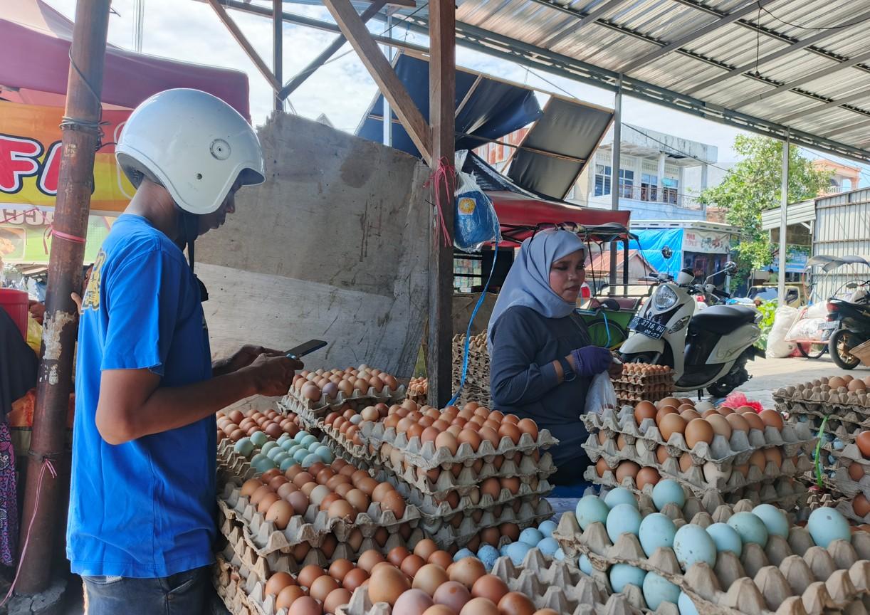 Harga Telur