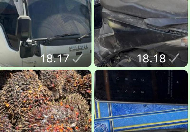 Personel-Polsek-Tommo-dan-Brimob-Polda-Sulbar-gagalkan-aksi-pencurian-buah-kelapa-sawit.jpg