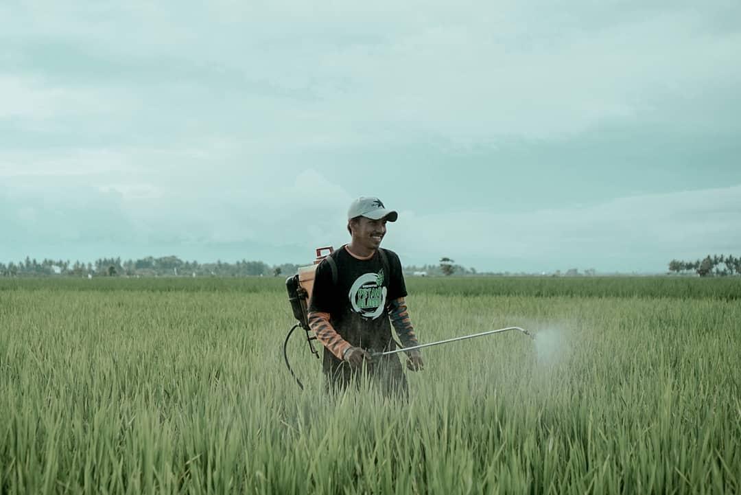 Hari Tani Nasional 2022, Petani Millenial Bumimulyo Polman Harap Pemerintah Sejahterakan Petani