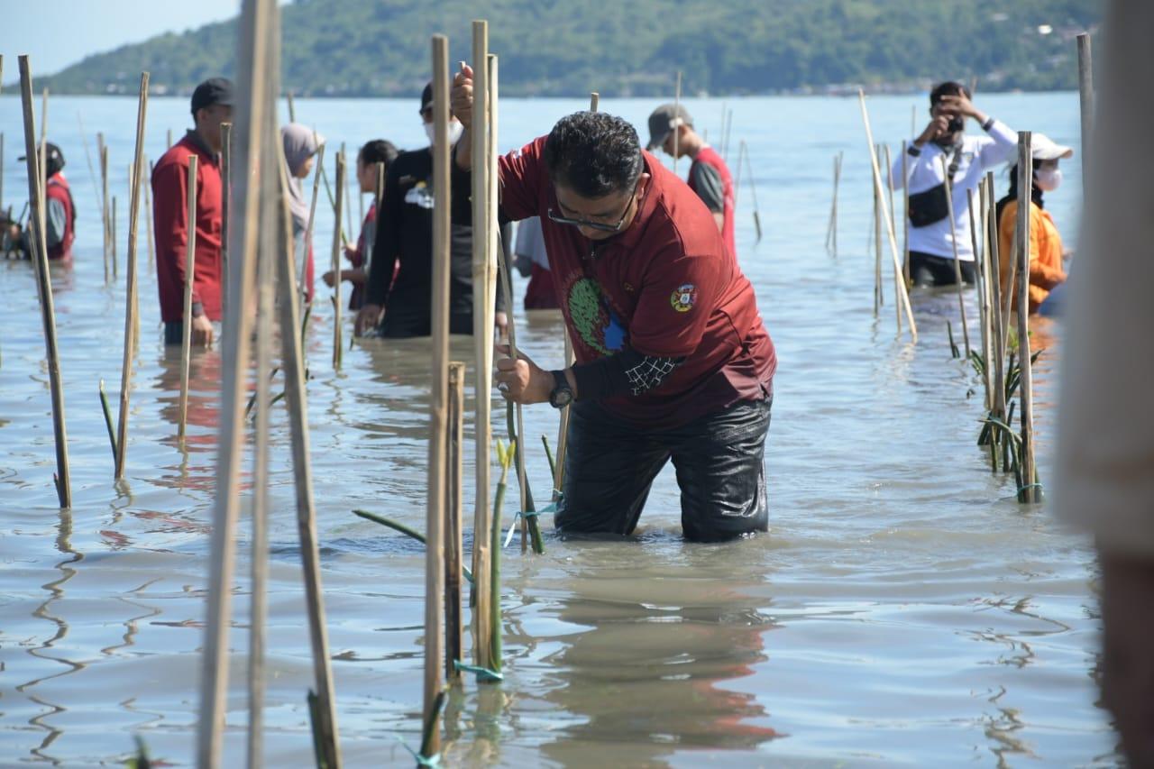 Pj-Gubernur-Sulbar-Akmal-Malik-melakukan-penenaman-mangrove-secara-simbolis.jpg