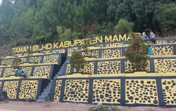 Simpatisan-Bupati-Mamasa-Terpilih-Welem-Sambolangi-sulap-taman-BLHD-Mamasa-jadi-kuning.jpg