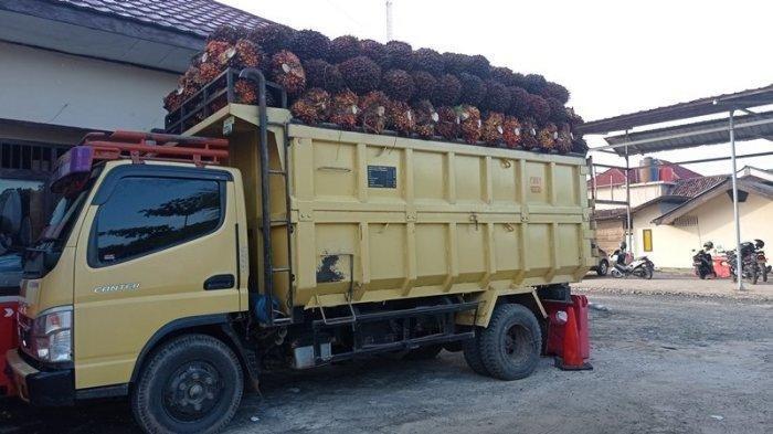 Truk-berisi-sawit-terparkir-di-salah-satu-TBS-di-Pasangkayu.jpg
