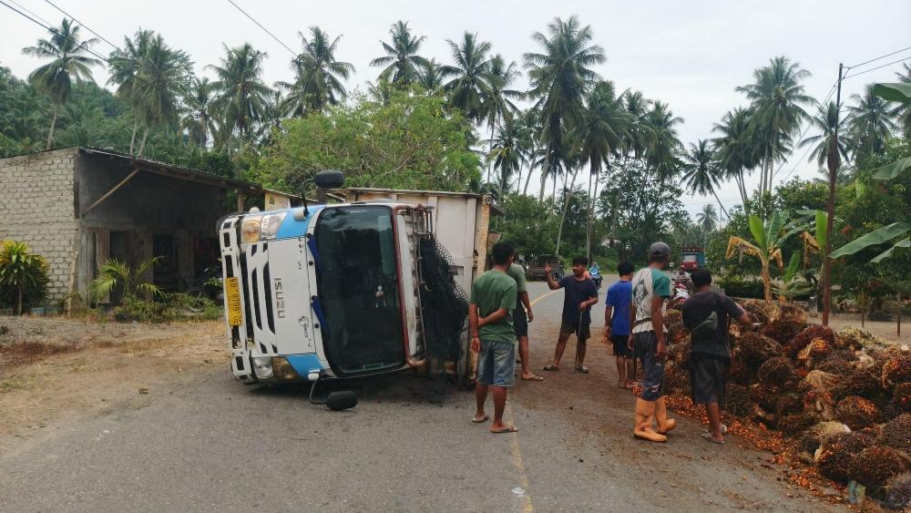 Truk-muatan-sawit-terbalik-di-Jalan-Poros-Bambalamotu-Pasangkayu.jpg