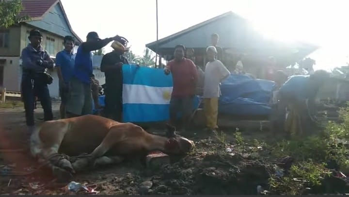 Warga-Lampa-Polman-memotong-Sapi-usai-Argentina-menang-lawan-Autralia.jpg