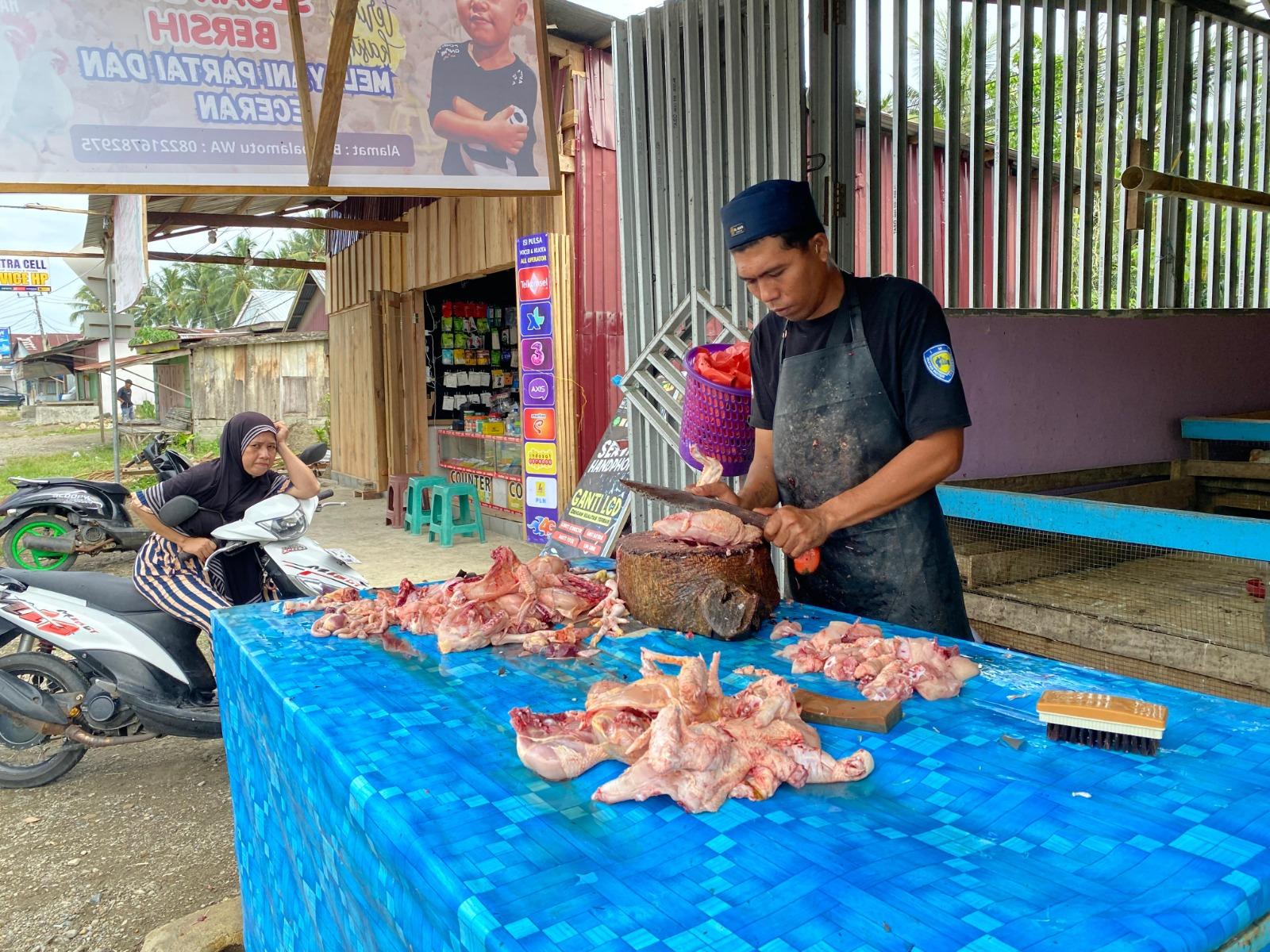 ayamm-harga.jpg