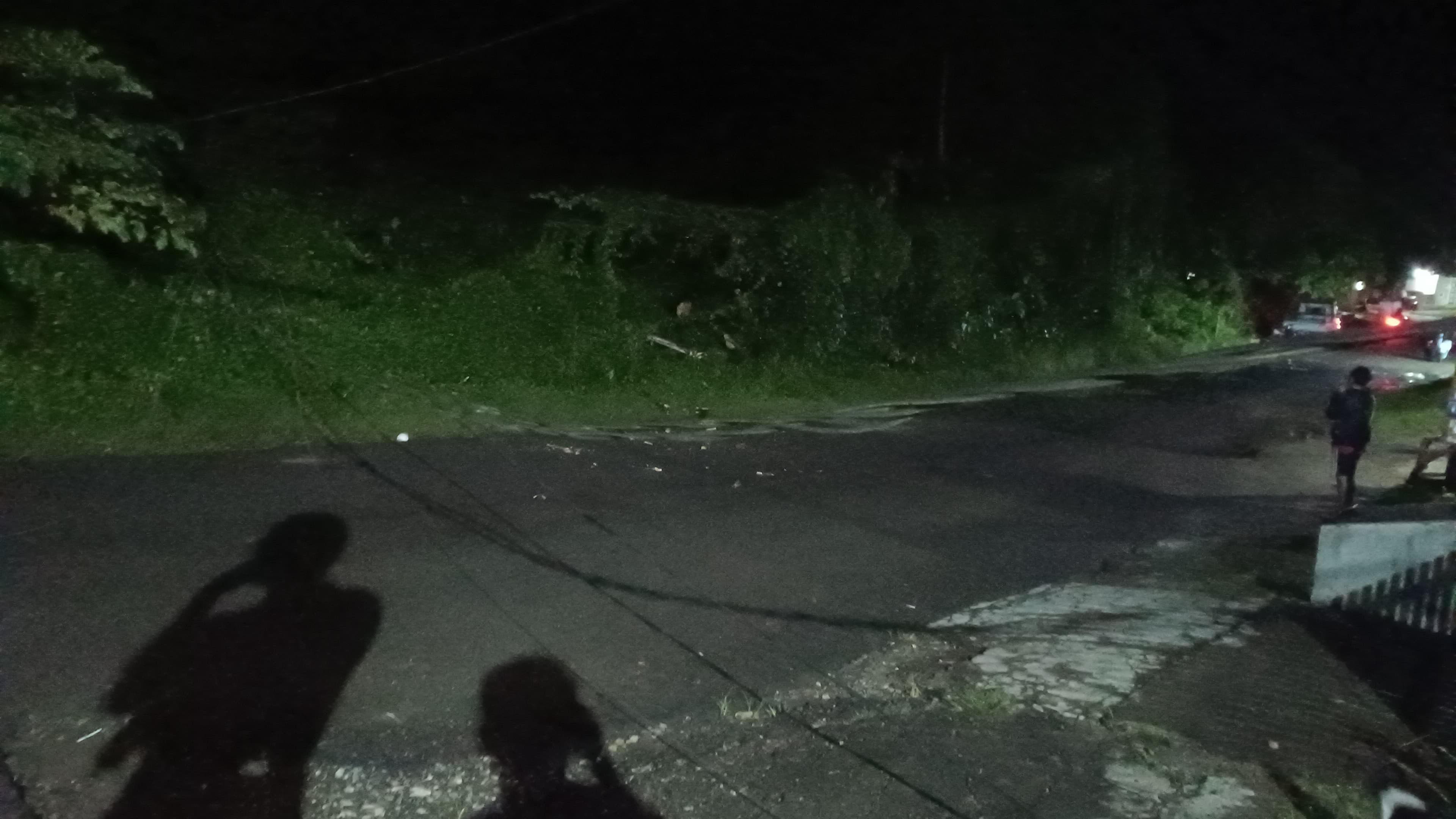 Pohon Tumbang di Mamuju Timpa Kabel Milik PLN
