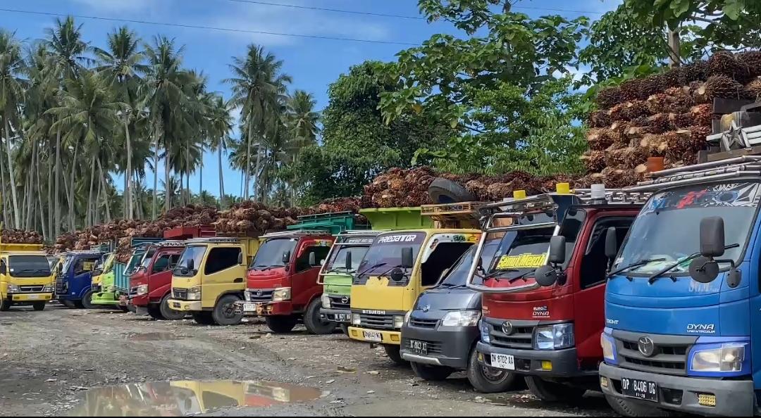 pasangkayu-s.jpg