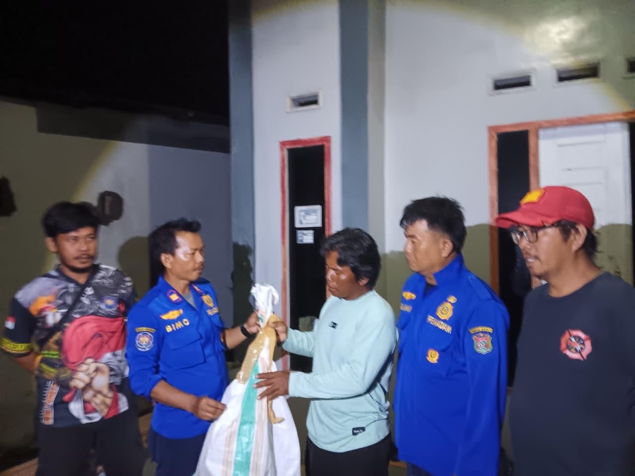 Sarang Tawon Vespa Gegerkan Warga di Mamuju, Penghuni Rumah Pernah Disengat Wajahnya Bengkak