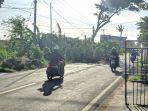 Dahan-pohon-jatuh-di-Rangas-Majene-timpa-mobil.jpg