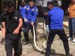 Damkar-Evakuasi-ular-piton-3-meteri-dari-kolong-mobil.jpg