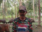 Jasman-peternak-juga-pengepul-sapi-di-Desa-Tallu-Banua-Majene.jpg