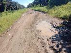 Kondisi-jalan-rusak-di-Tommo-Mamuju-sepanjang-7-km.jpg
