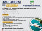 Loker-Sulbar-PT-Sulawesi-Barat-Malaqbi-membuka-lowongan-kerja.jpg