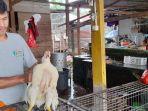Masdar-Pedaga-Ayam-Potong-di-Pasar-Baru-Mamuju-Jl.jpg