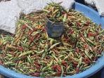 Nahar-salah-seorang-pedagang-di-Pasar-Topoyo-Mamuju-Tengah-saat-melayani-pembeli-cabai-rawit.jpg
