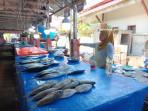 Pedagang-yang-menjual-ikan-di-Tempat-Pelelangan-Ikan-TPI-Mamuju.jpg