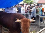 Penjabat-Gubernur-Akmal-Malik-menyerahkan-Sapi-kurban-Presiden-Joko-Widodo.jpg